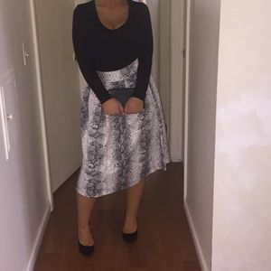 Printed Midi Skater Skirt